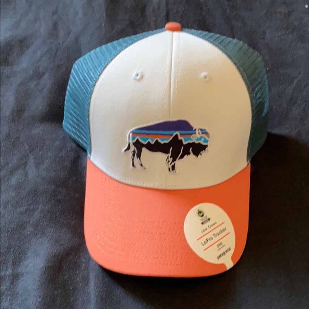 Patagonia Hat